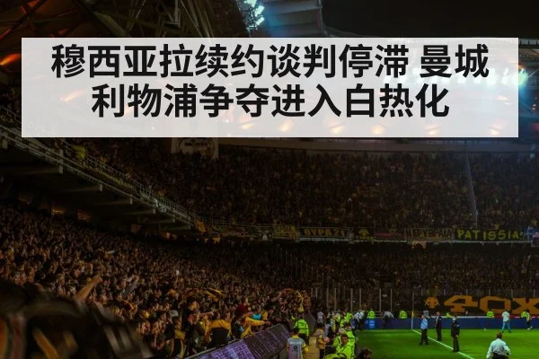 soccer stadium atmosphere