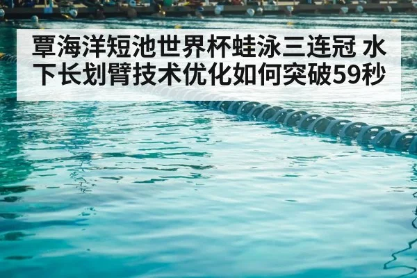 swimming pool competition lanes